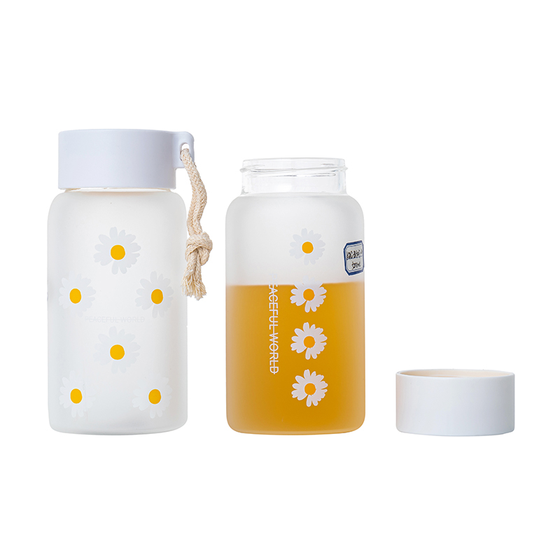 ECO Friendly 500ml de cristal Venta caliente en la escuela