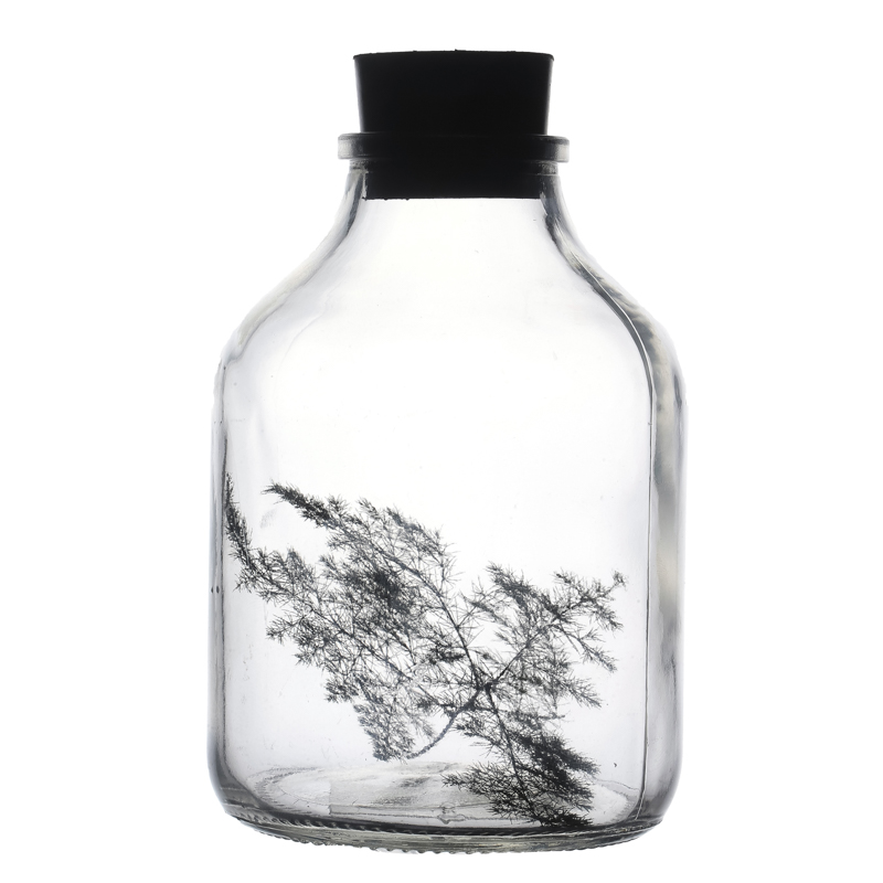 Botella de amperios de vidrio transparente de 650 ml para semillas de flores de plantas verdes
